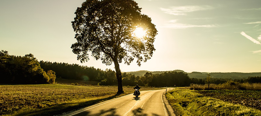 Motorcycles Ducati for sale